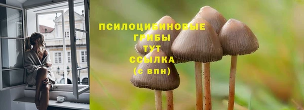 прущая мука Елизово