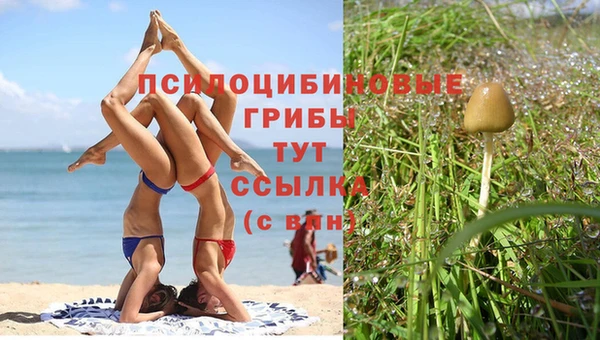 прущая мука Елизово