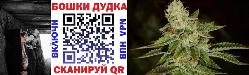 Купить где  Кореновск  Шишки марихуана OG Kush 